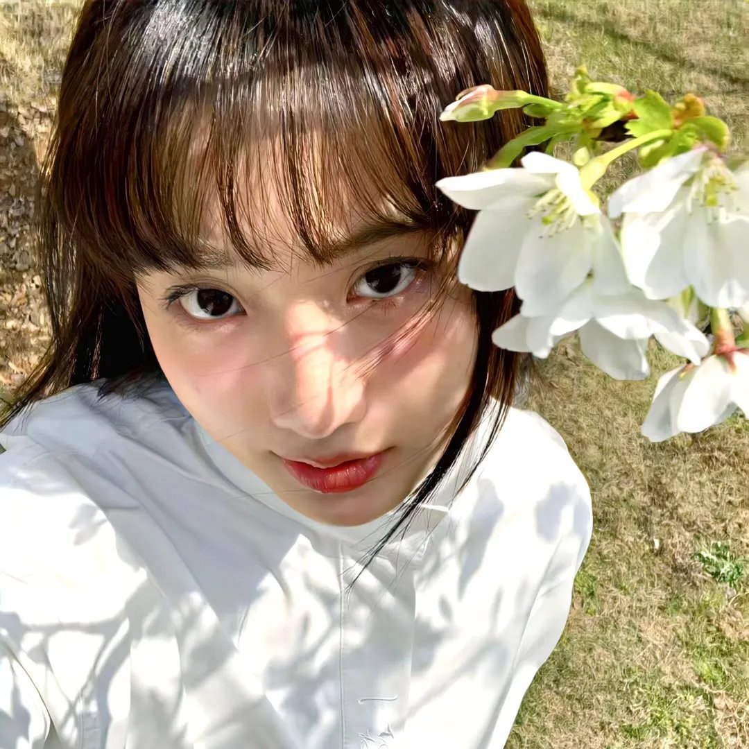 姬百合之塔
